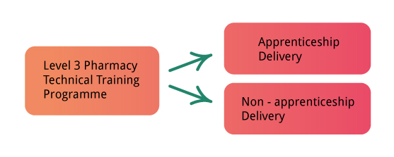 Pharmacy Technician Training Programme Diagram